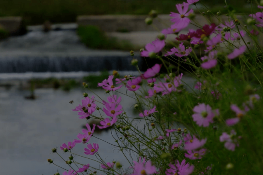 Captura de pantalla 2023-01-16 a las 17.19.09